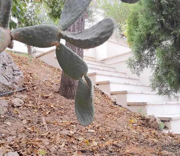 Appartement 12 Gods Pylos